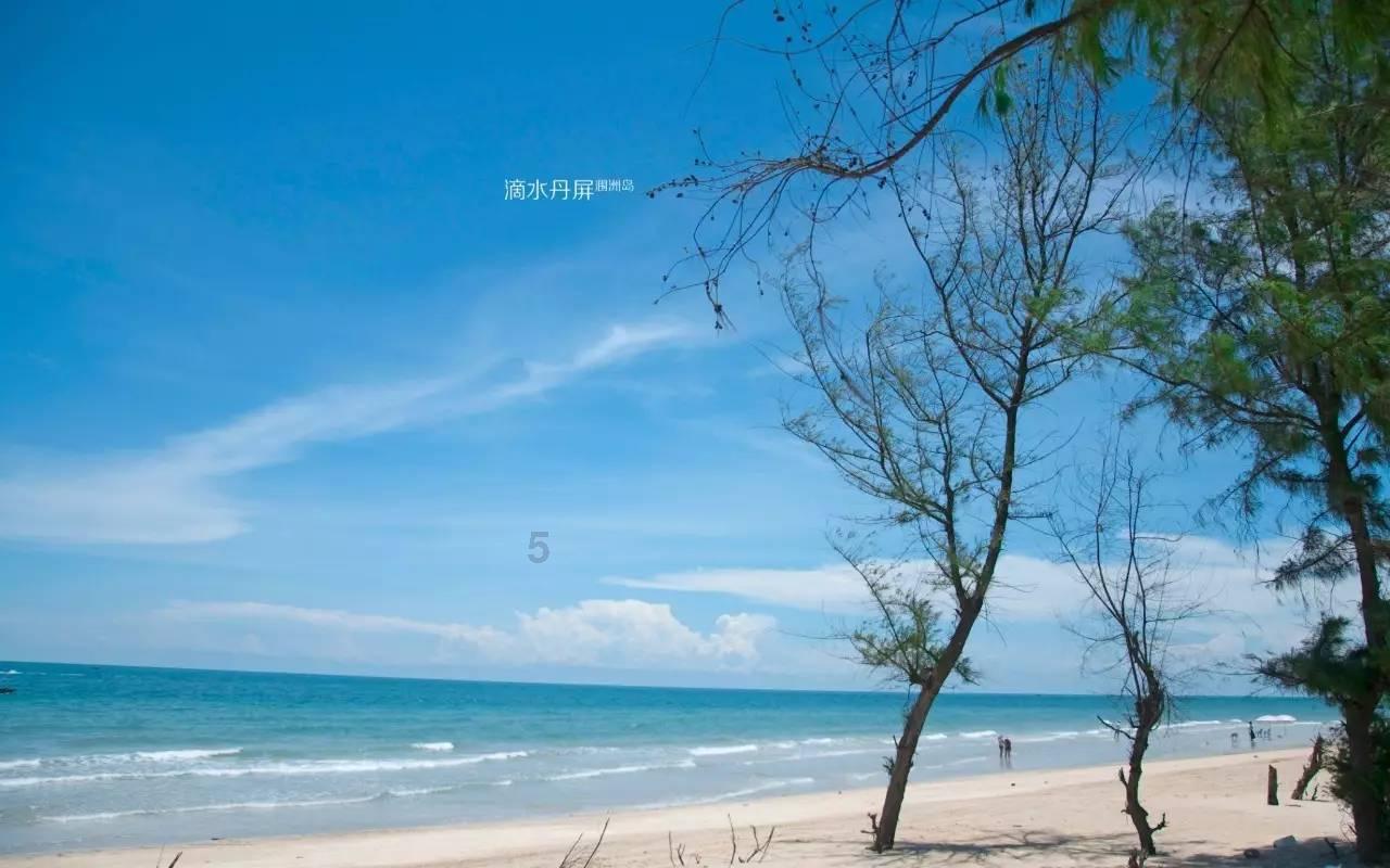 问答交流平台怎么解释无知是最大之恶和无知就是最大的智慧?,专注解决你的疑惑